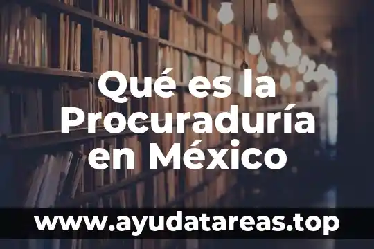 Qué es la Procuraduría en México