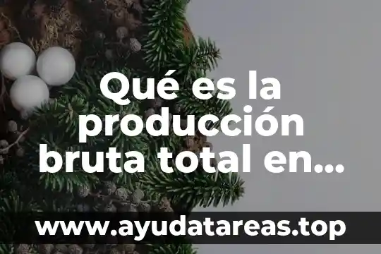 Qué es la producción bruta total en economía