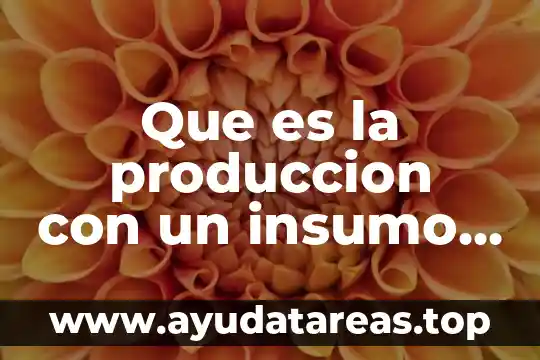 Que es la produccion con un insumo y dos variables