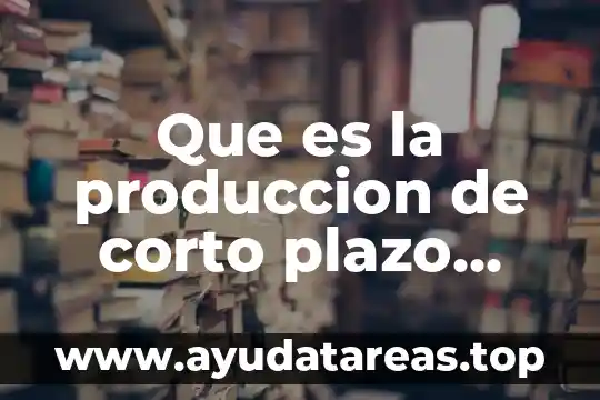 Que es la produccion de corto plazo economia
