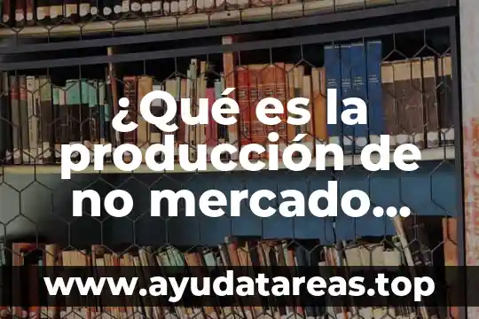 ¿Qué es la producción de no mercado gobierno general?