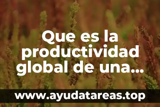 Que es la productividad global de una empresa