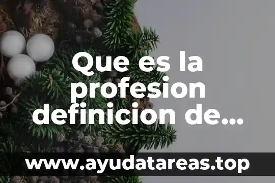 Que es la profesion definicion de lubros