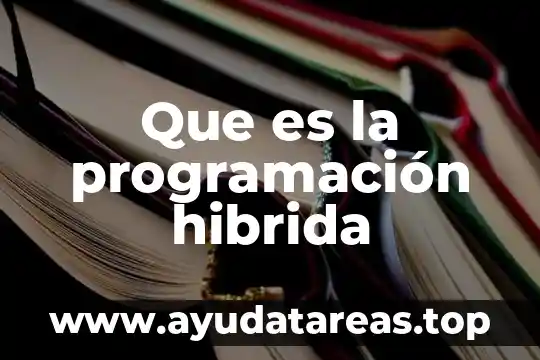 Programacion que es bandera 7 Que es la programación hibrida
