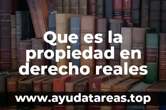 Que es la propiedad en derecho reales