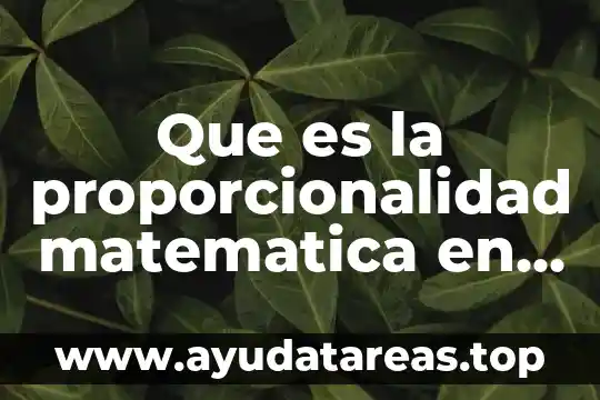 Que es la proporcionalidad matematica en graficas