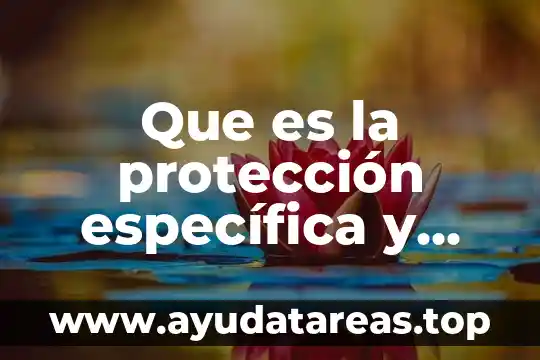 Que es ser mezquino yahoo 6 Que es la protección específica y sus funciones