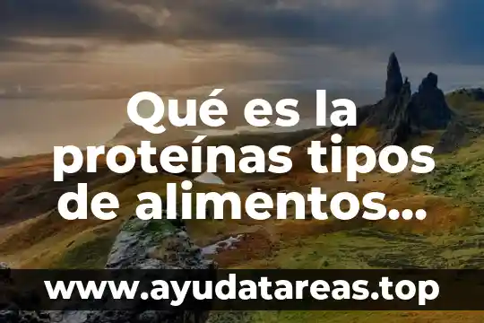 Que es valor biologico de las proteinas 3 Qué es la proteínas tipos de alimentos provienen