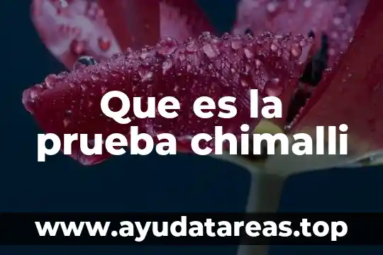 ¿Qué es el agua nutriente o alimento? 4 Que es la prueba chimalli