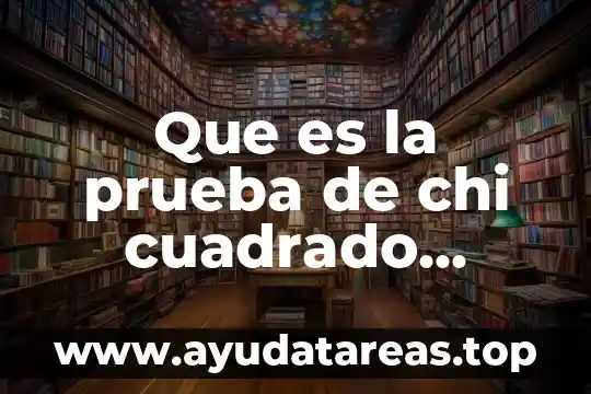 Que es la prueba de chi cuadrado scielo