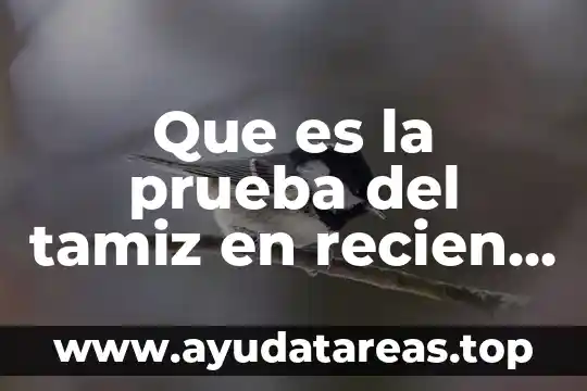 Según la OMS que es recién nacido 4 Que es la prueba del tamiz en recien nacidos
