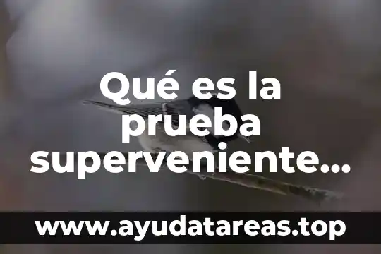 Qué es la prueba superveniente slideshare