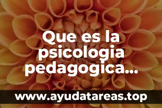 Que es la psicologia pedagogica prezi
