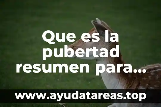 Que significa la pubertad que es y sus caracteristicas 3 Que es la pubertad resumen para niños