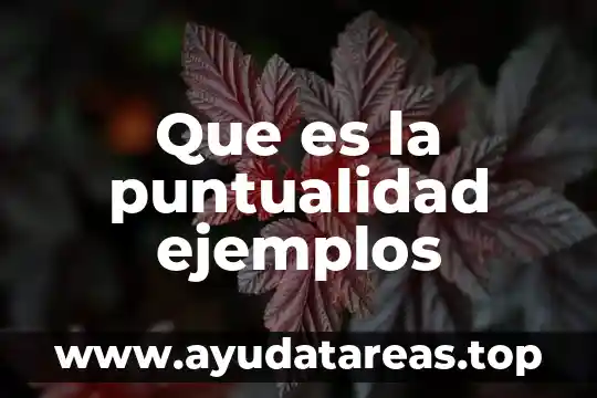 Que es la puntualidad ejemplos