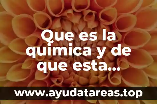 Vaporu que es que cura todo sobre esta planta 8 Que es la quimica y de que esta compuesta