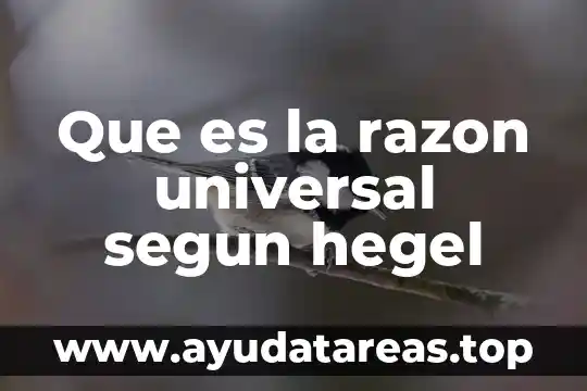 Que es derecho segun la ley 3 Que es la razon universal segun hegel