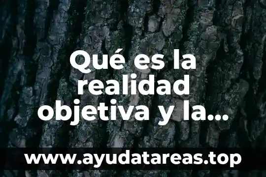Que es frase objetiva 8 Qué es la realidad objetiva y la realidad subjetiva