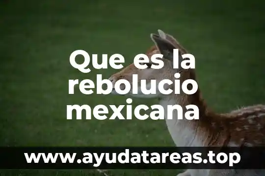 Que es la rebolucio mexicana