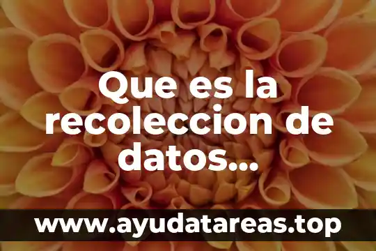 Que es la recoleccion de datos cuantitativos 5 Que es la recoleccion de datos slideshare