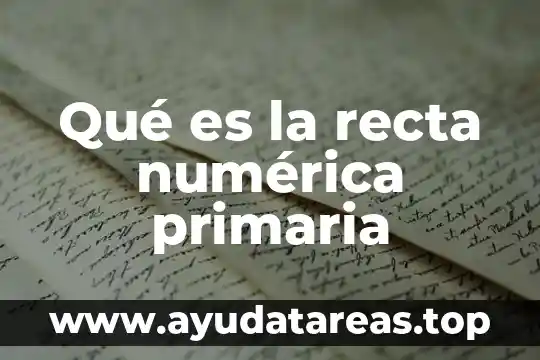 Qué es la recta numérica primaria