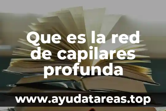 Que es la red de capilares profunda
