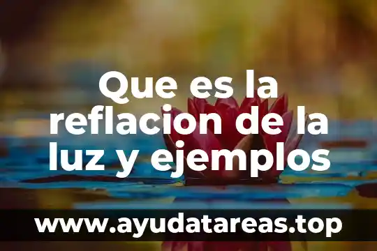 Que es la reflacion de la luz y ejemplos