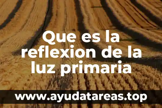 Que es la reflexion de la luz primaria