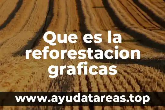 Qué es creación de gráficas 4 Que es la reforestacion graficas