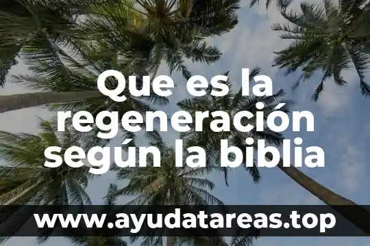 Qué es la cuarta vigilia en la biblia 5 Que es la regeneración según la biblia