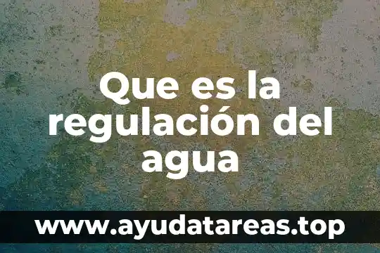 Que es el punto de regulacion en fisiologia 8 Que es la regulación del agua