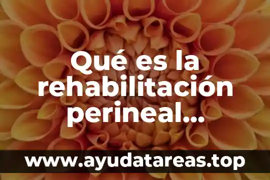 Que es mejor treda o eskapar compuesto 4 Qué es la rehabilitación perineal artículo