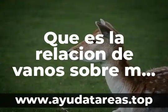 Talla M de hombre que es en número 3 Que es la relacion de vanos sobre m avisos