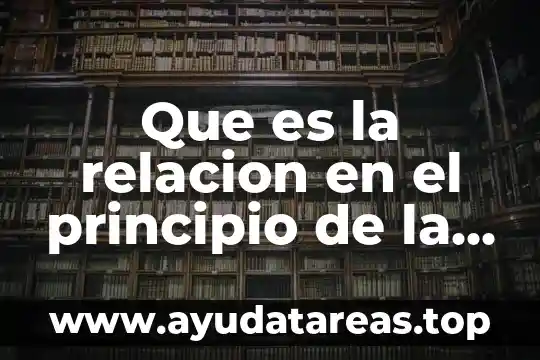 Que es la relacion en el principio de la geografia