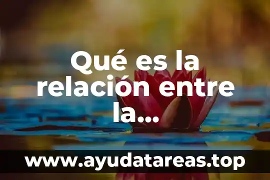 Qué es cociente y decreciente significado 8 Qué es la relación entre la militarización y la violencia