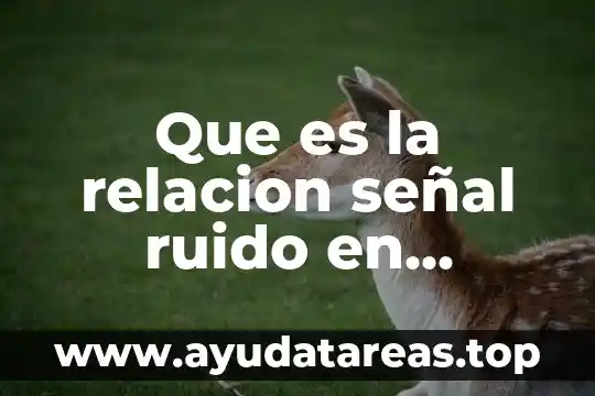 Qué es el ruido código 7 Que es la relacion señal ruido en neurociencia