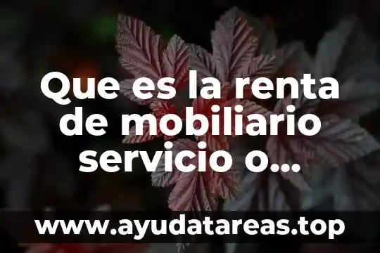 Que es una renta vitalista en seguridad social 8 Que es la renta de mobiliario servicio o producto