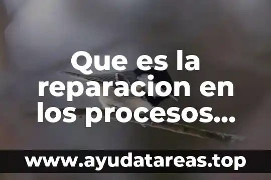 Que es la reparacion en los procesos inflamatorios