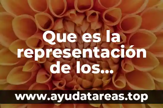 Que es organizacion de los trabajadores en gramio 8 Que es la representación de los trabajadores en la organización