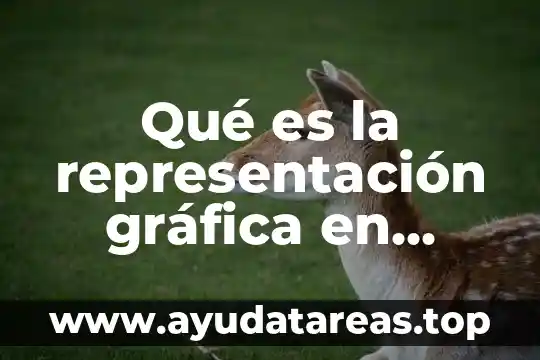 Que es una representación grafica de diseño 7 Qué es la representación gráfica en arquitectura