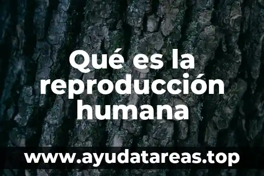 Que es reproduccion asexual tipos 3 Qué es la reproducción humana