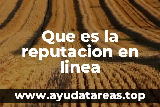 Que es la linea de investigacion en una tesis 5 Que es la reputacion en linea