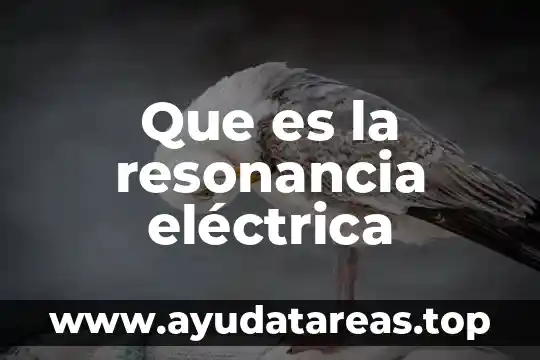 Que es la resonancia eléctrica