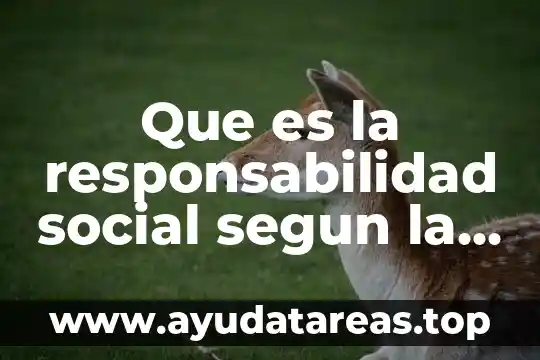 Que es la responsabilidad social segun la iso 26000