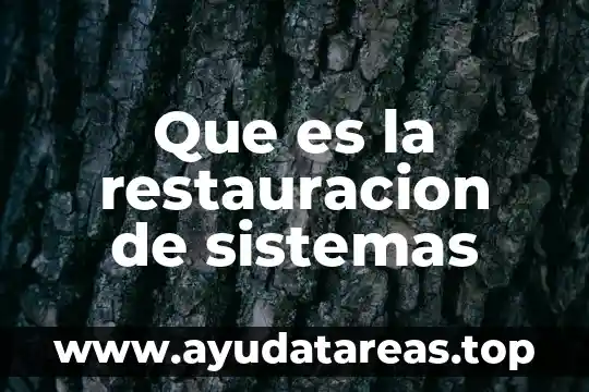 Qué es la tesis en sistemas computacionales 6 Que es la restauracion de sistemas