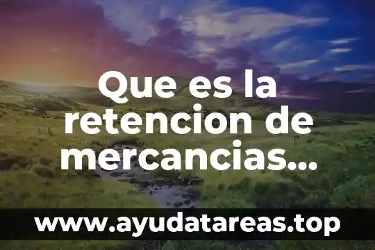 Que es la retencion de mercancias ilegales al pais mexico
