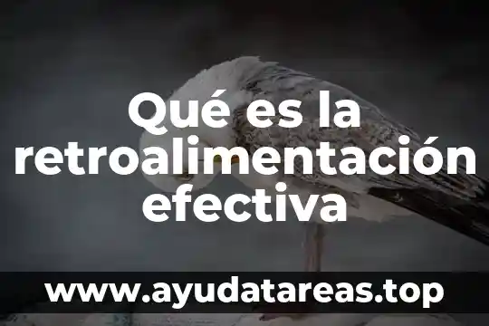 Qué es la retroalimentación efectiva