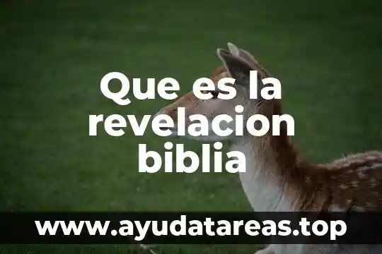 Que es la revelacion biblia