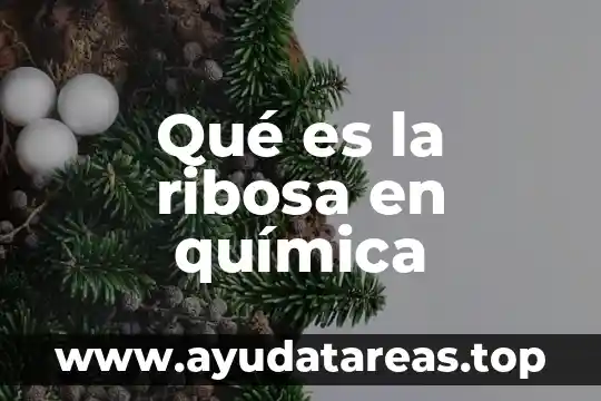 Que es mitigacion de desastres concepto 5 Qu茅 es la ribosa en qu铆mica