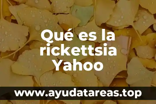Que es el tiempo en filosofía yahoo 3 Qué es la rickettsia Yahoo